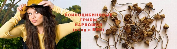 мефедрон мука Алексеевка