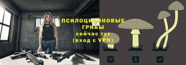 гашик Абинск