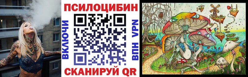 где купить наркоту  Нерехта  Галлюциногенные грибы Cubensis 