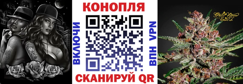 Каннабис сатива  Нерехта 